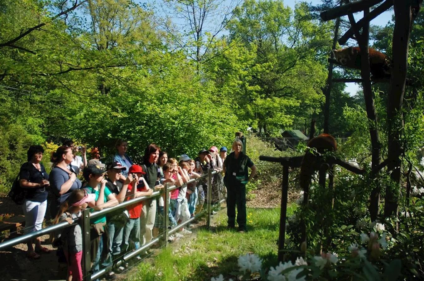 Komentované setkání a krmení v Zoo Ostrava 2024