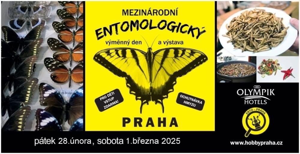 Prodejní výstava brouků a motýlů Praha