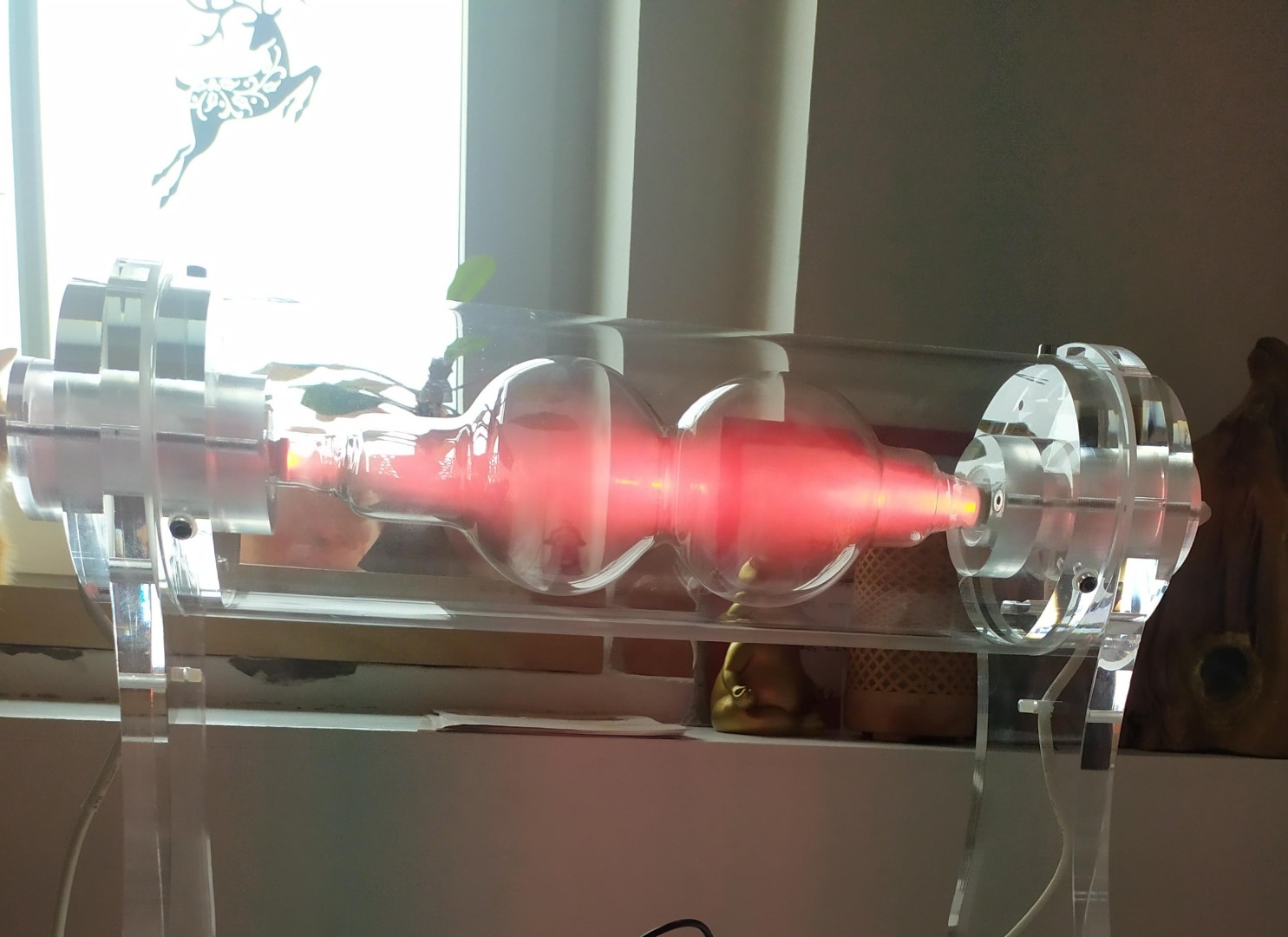 Plazmové vyčištění od parazitů a patogenů