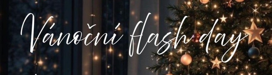 Vánoční flash day