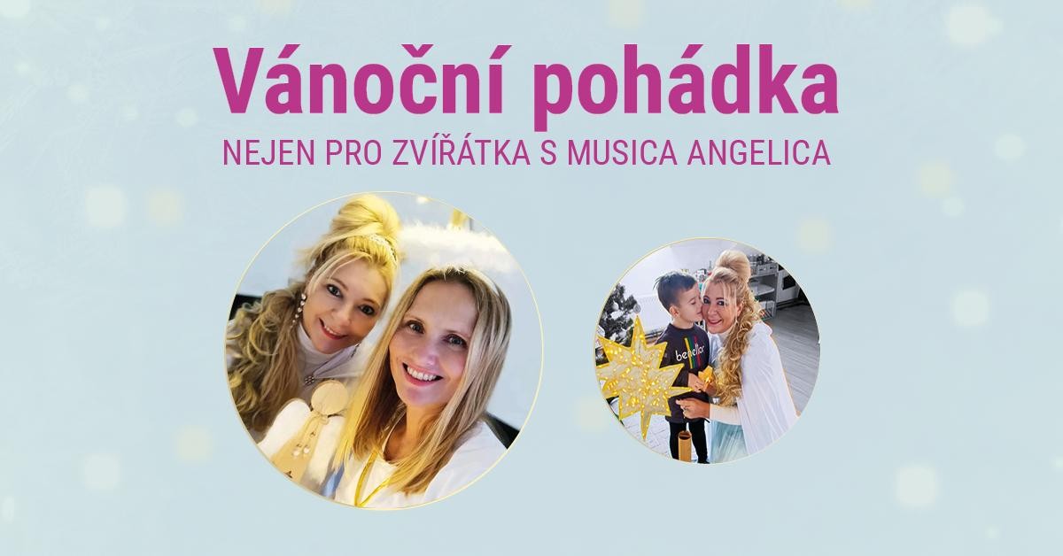 VÁNOČNÍ POHÁDKA NEJEN PRO ZVÍŘÁTKA S MUSICA ANGELICA