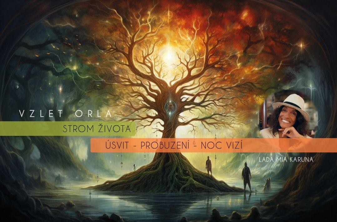 ⚜️STROM ŽIVOTA ⚜️ - ÚSVIT - VZLET ORLA - medicíny Země - silné konstelace