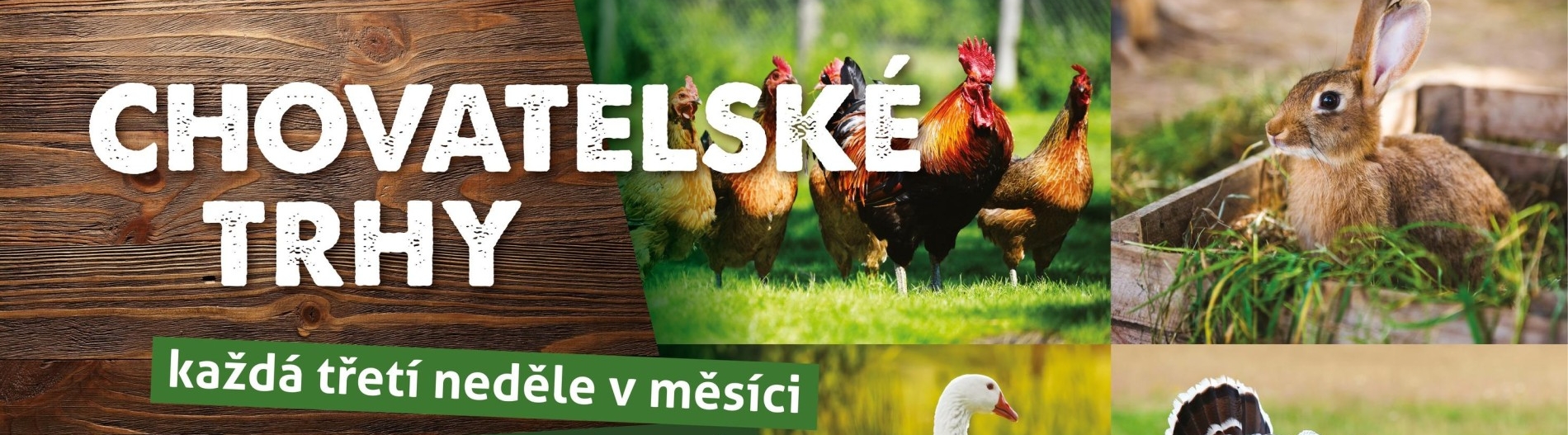 Chovatelské trhy 2026