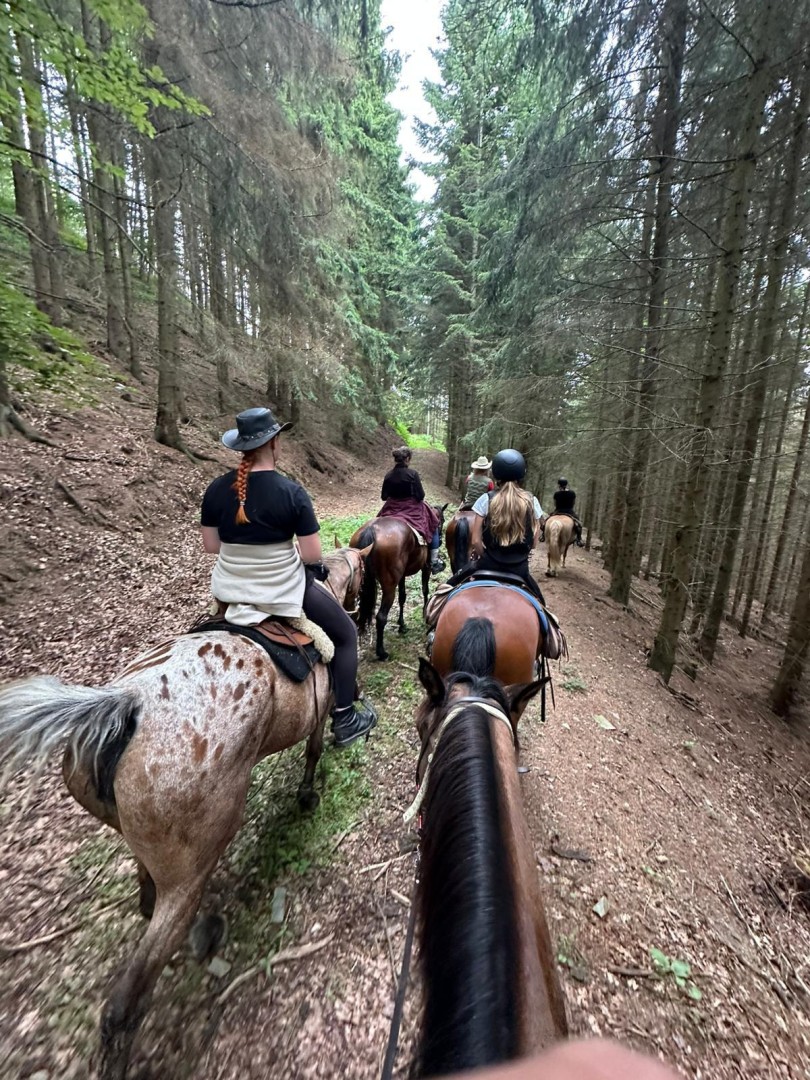 Velikonoce v sedle - vandr 2026