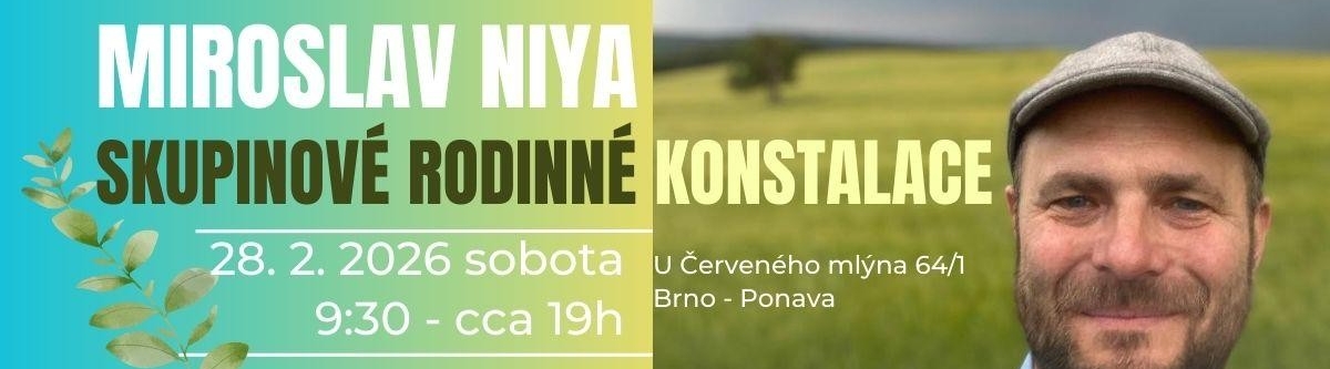 Niya Miroslav Němeček - Systemické skupinové konstelace