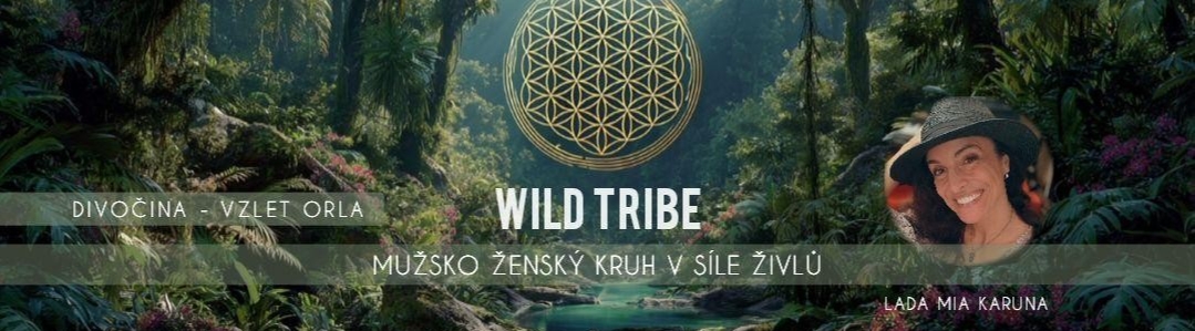 🔥WILD TRIBE🔥 DIVOČINA - v síle živlů - ...