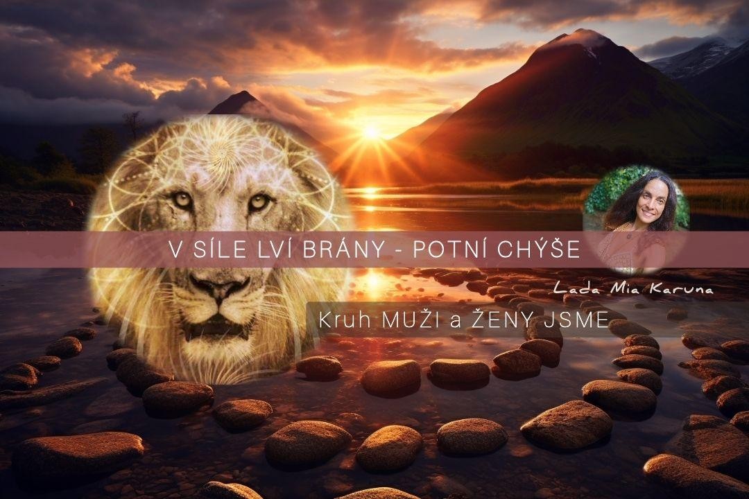 ✨V SÍLE LVÍ BRÁNY✨ - POTNÍ CHÝŠE - Healing ...