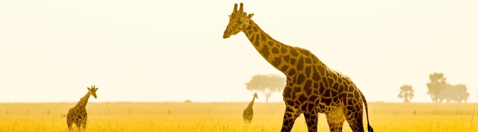 Petr Jan Juračka - Cesty do Afriky - Praha