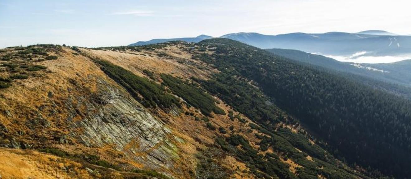11. Tematické setkání ke studiu vzácných a ohrožených druhů naší květeny