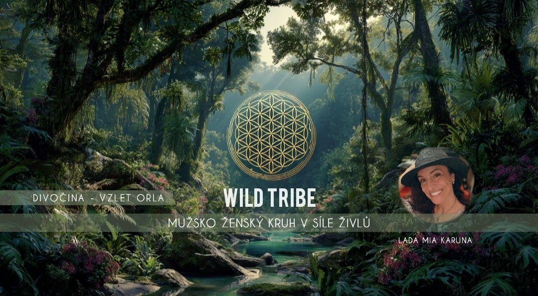 🔥WILD TRIBE🔥 DIVOČINA - v síle živlů - Muži a Ženy JSME - VZLET ORLA - medicíny Země
