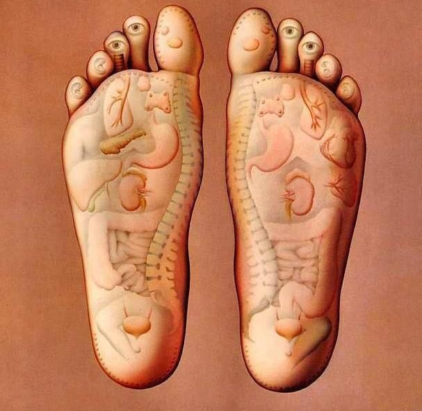 Reflexní terapie – REFLEXOLOGIE