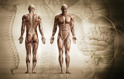 Myofasciální techniky 1. – SPOUŠŤOVÉ BODY