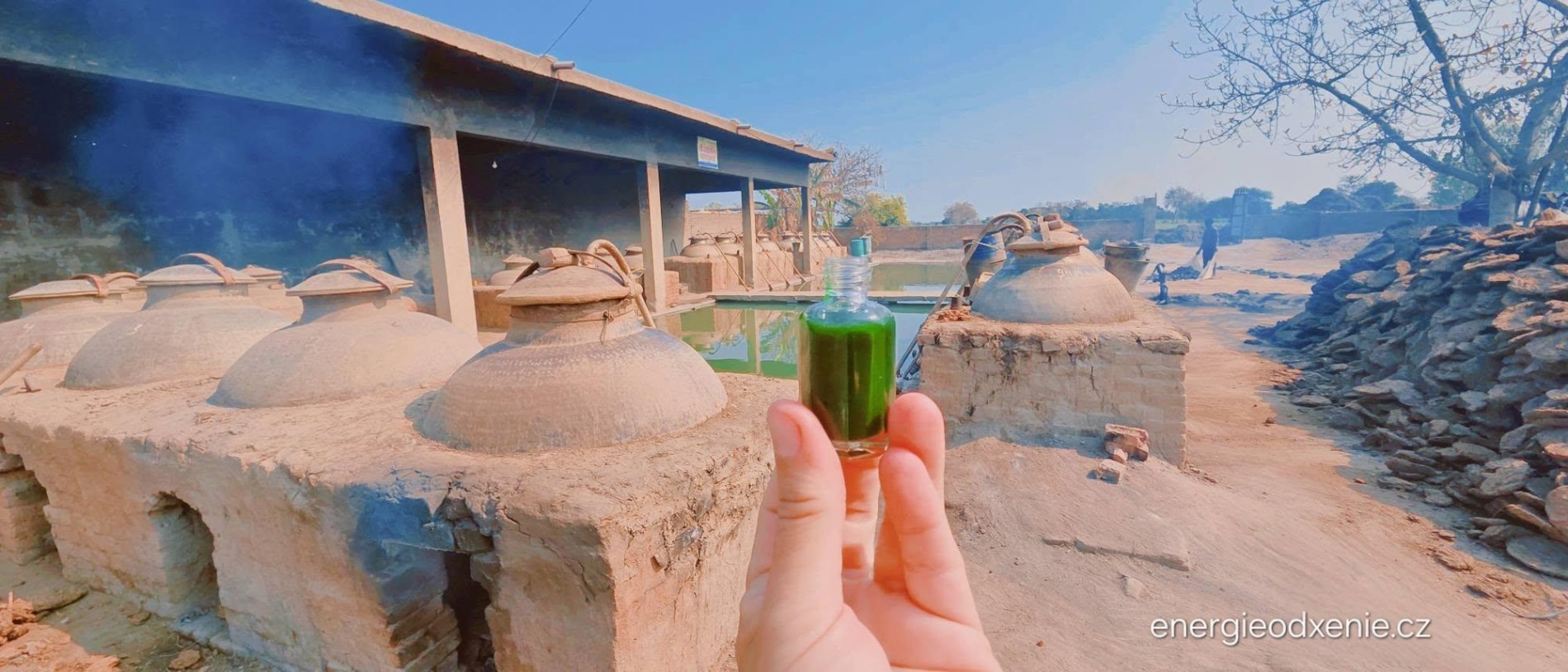 Aromaterapie Vetiver - návrat ke kořenům