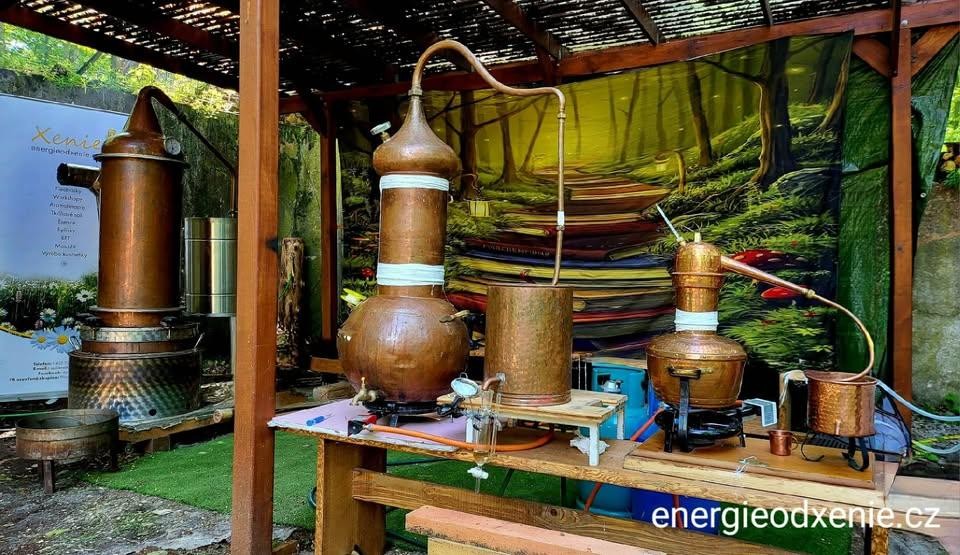 Destilace na hydrolát a éterický olej od A do Z