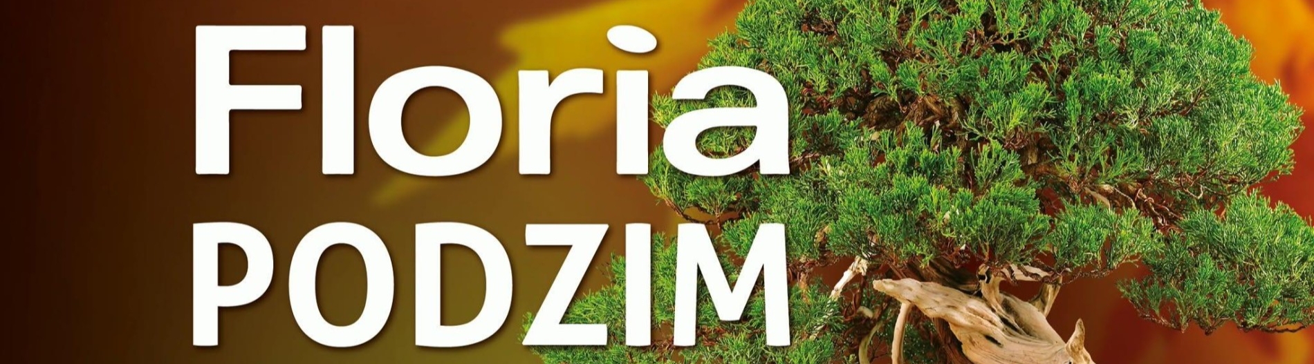 Floria PODZIM