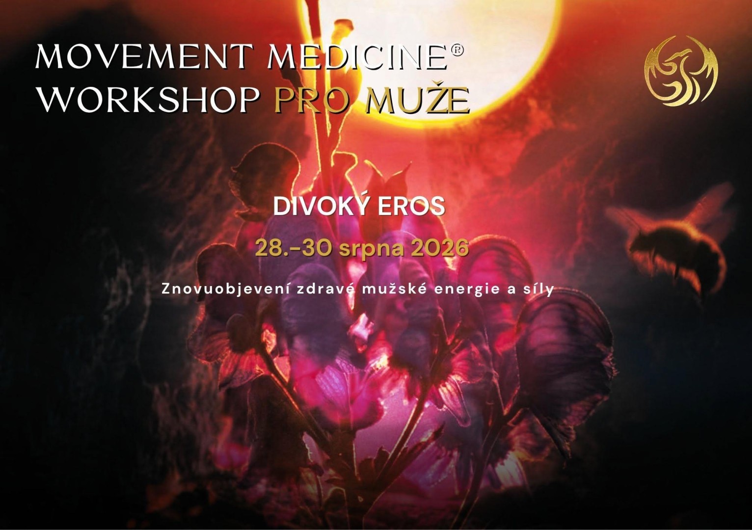 DIVOKÝ EROS - Movement Medicine® pro muže