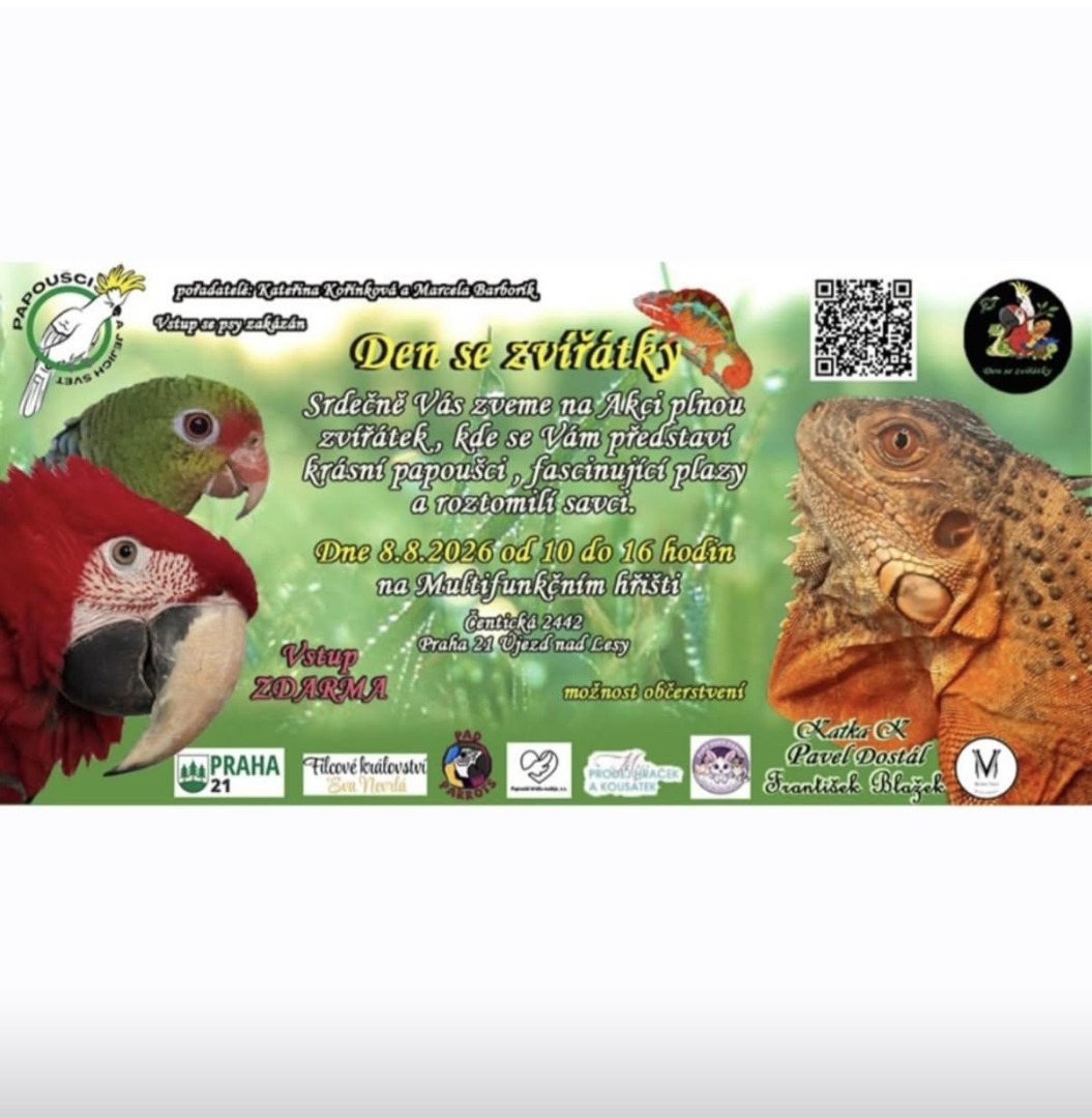 Den se zvířátky 🦜🐸🦇🪱🦖🐢🐍🦎🦀