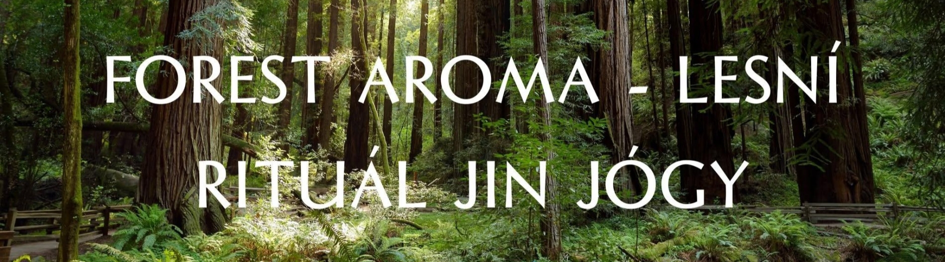 FOREST AROMA - LESNÍ RITUÁL JIN JÓGY - DARA RAKOVČÍK