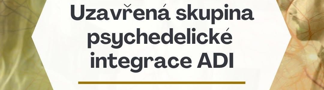 Uzavřená skupina psychedelické integrace - ADI