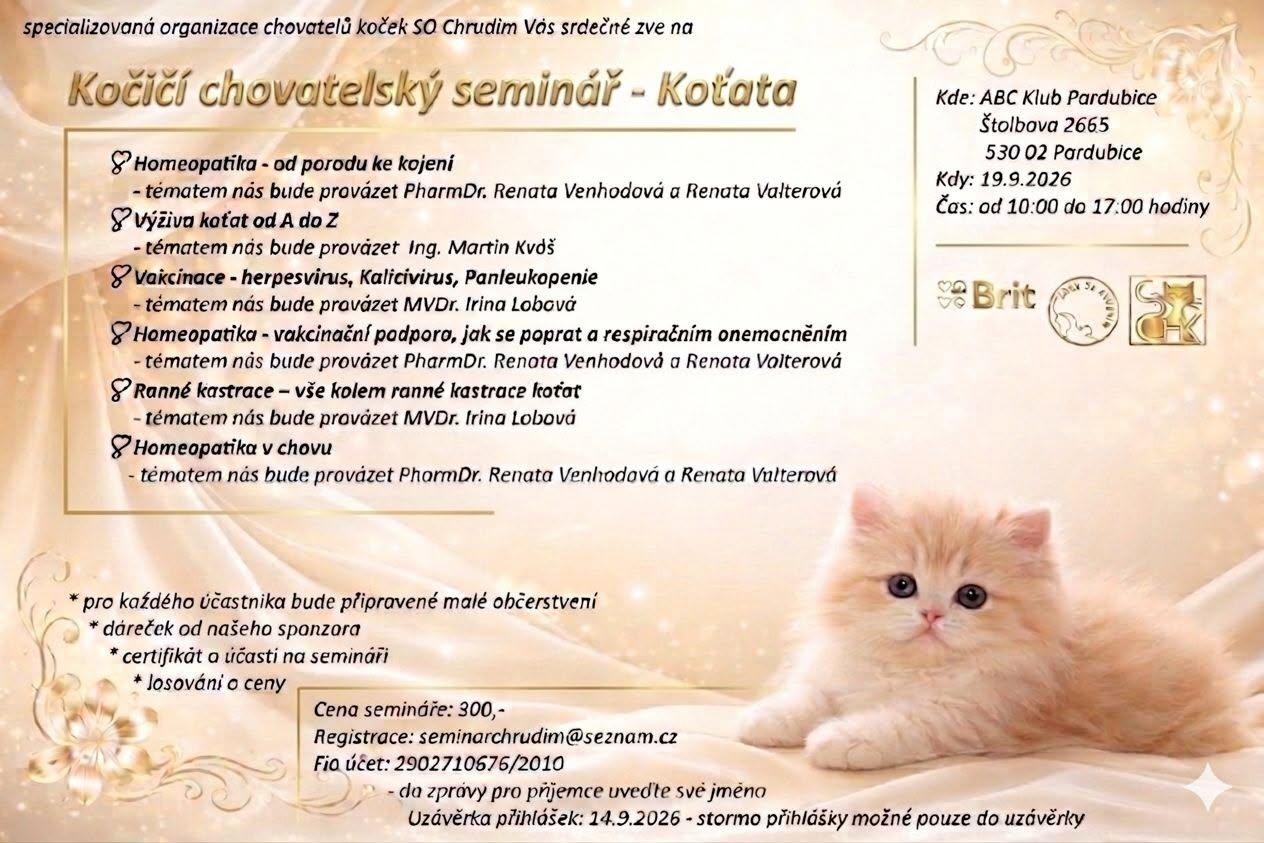 Kočičí chovatelský seminář - koťata