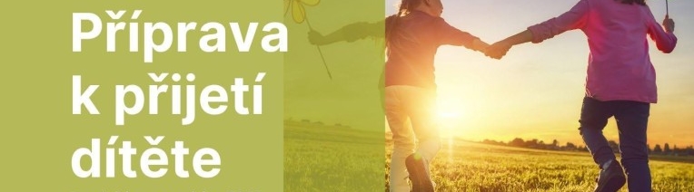 Příprava k přijetí dítěte - pobočka Pardubice