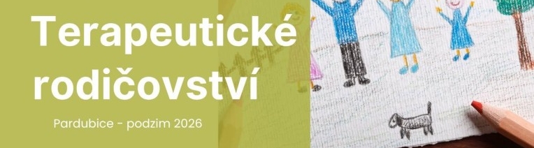 Kurz terapeutického rodičovství - pobočka Pardubice