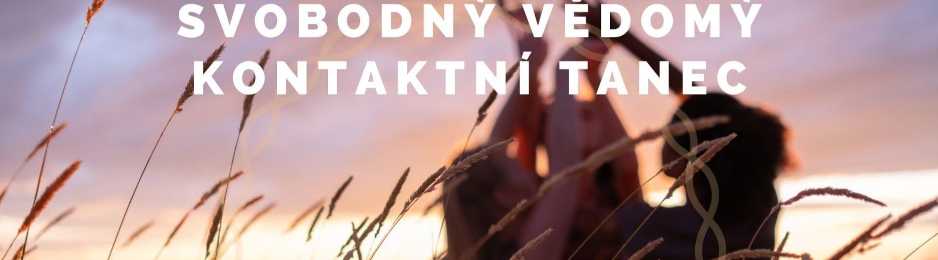 Svobodný vědomý kontaktní tanec - cyklus 3 setkání