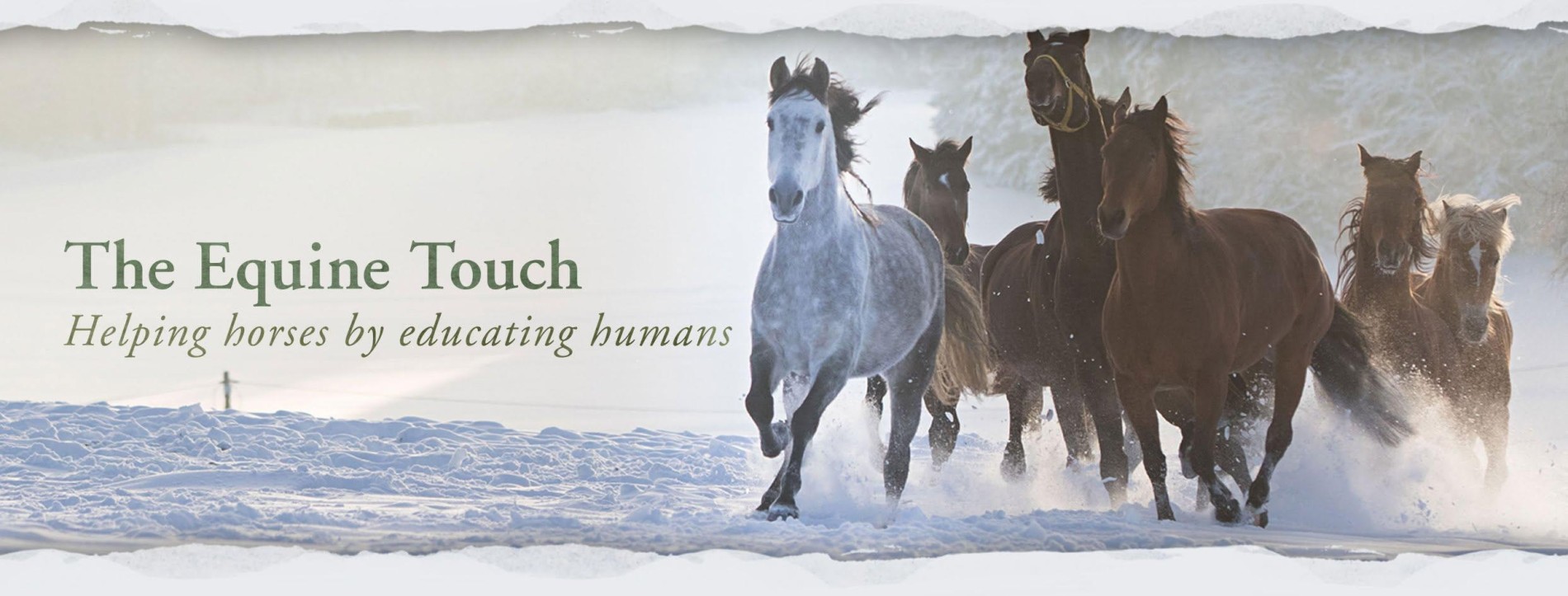 Equine Touch - Středně pokročilý kurz - Level 2 - nový termín!