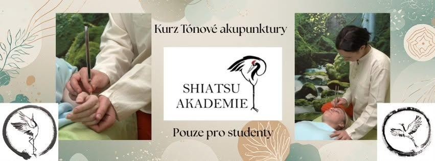 Základy tónové akupunktury