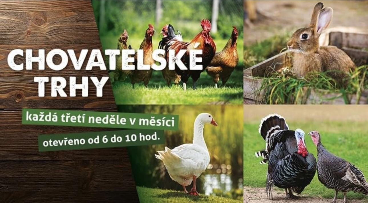 Chovatelské trhy 2023