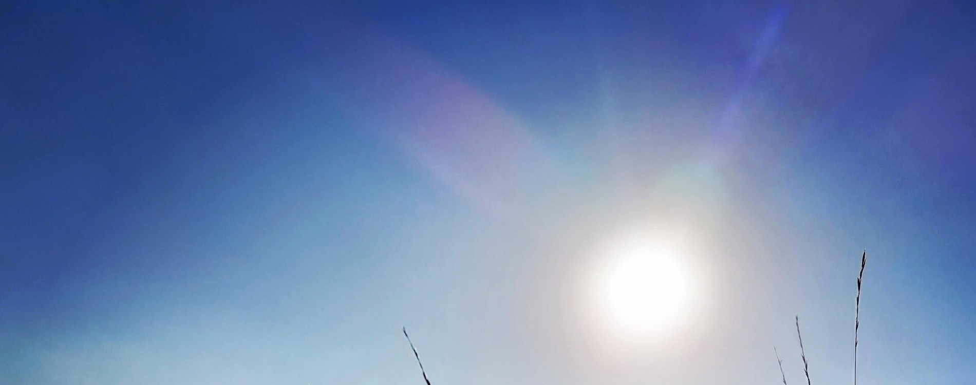 NEDĚLNÍ KURZ TAI CHI A ČCHI KUNG... 13 ZÁKLADNÍCH FOREM 9-16 hodin