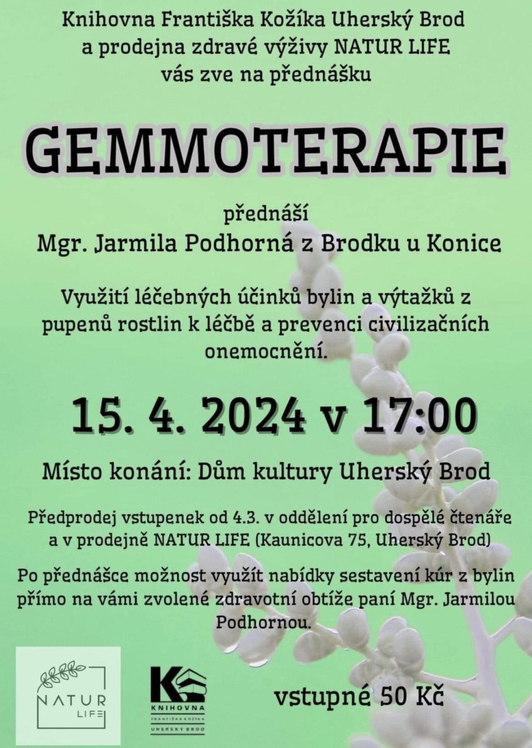 Přednáška Mgr. Jarmily Podhorné