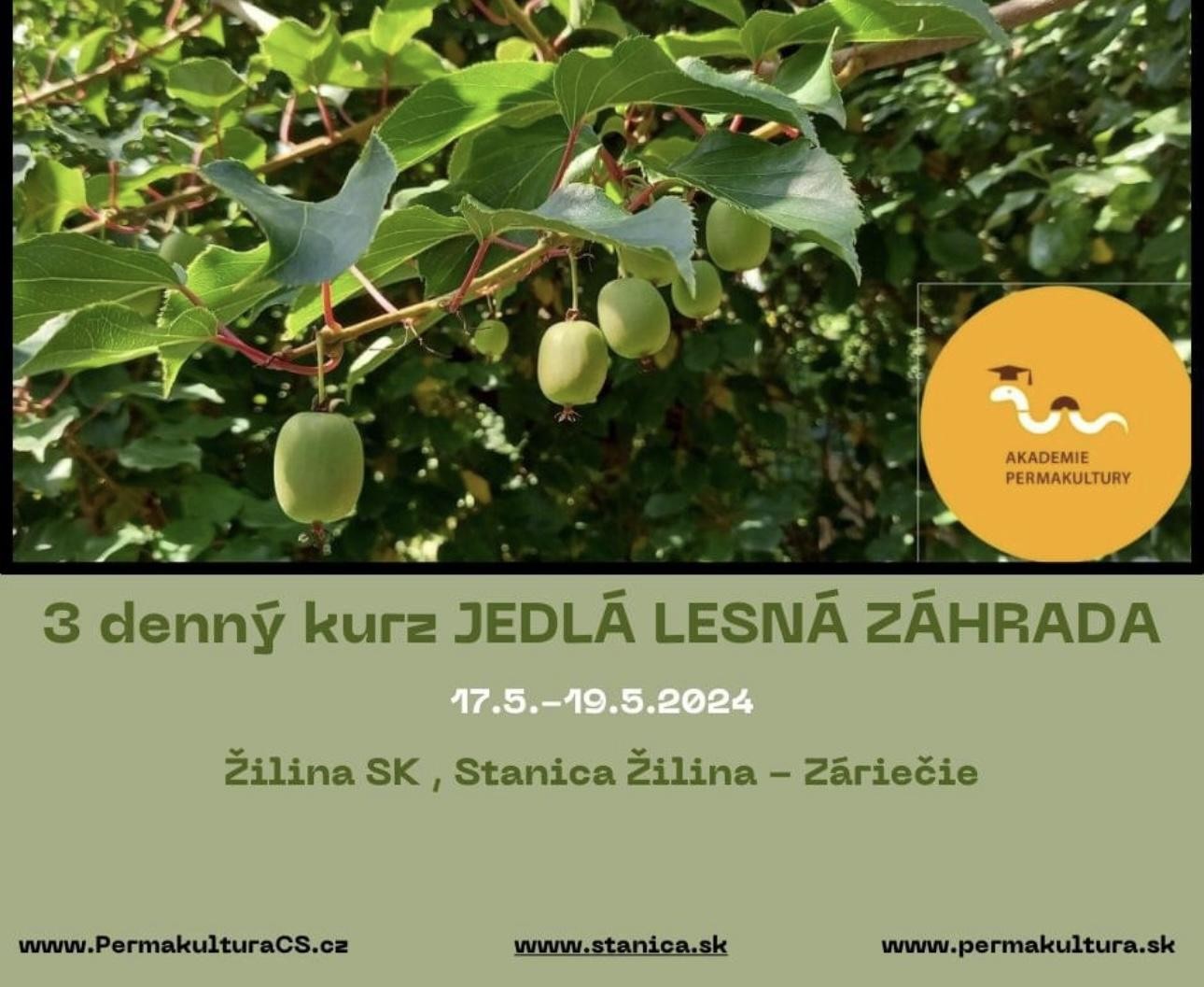 Jedlá lesná zahrada 