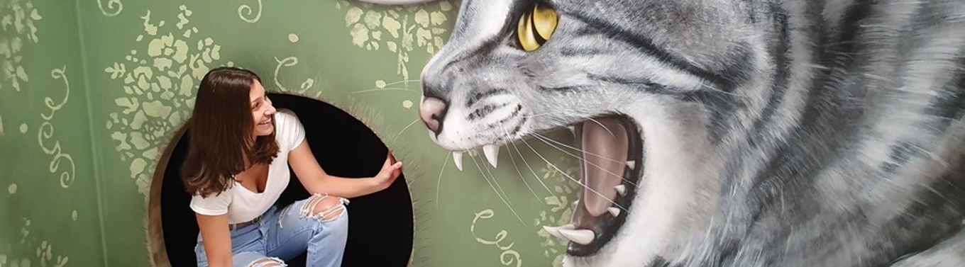 Muzeum fantastických iluzí