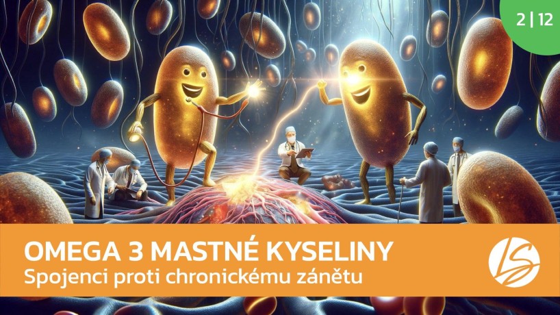 SPOJENCI PROTI CHRONICKÉMU ZÁNĚTU - OMEGA 3 ...