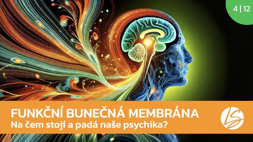 PROPUSTOST BUNĚČNÉ MEMBRÁNY - JAK OVLIVŇUJE NAŠI PSYCHIKU? 