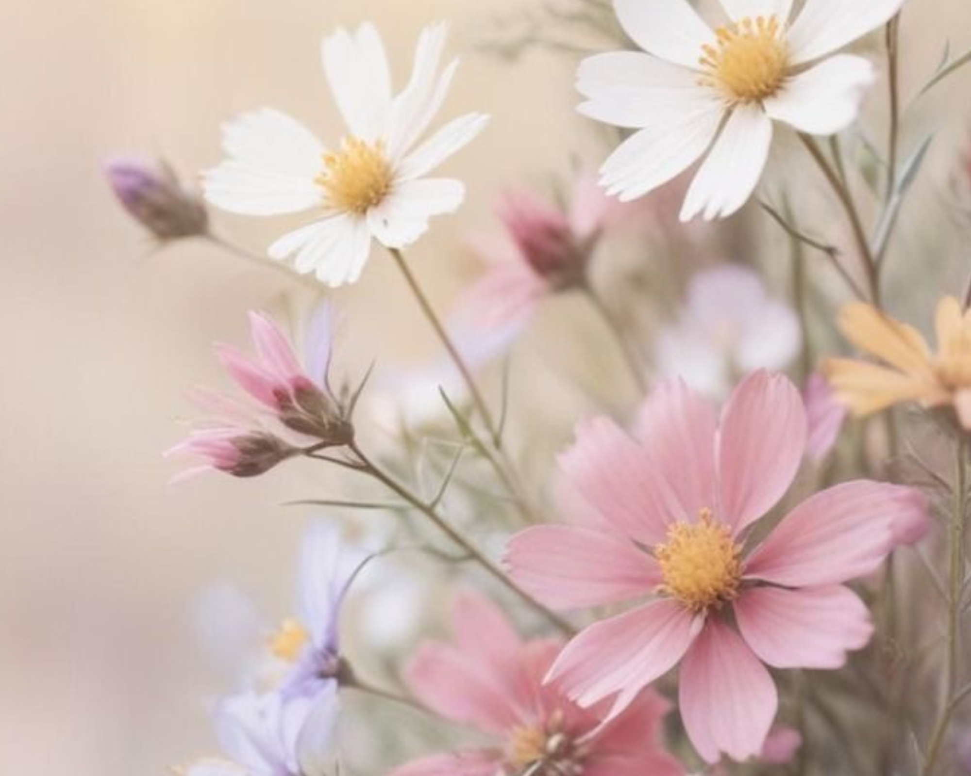 Kam až může zajít naše touha být přijatá?