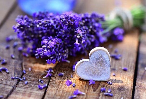 Zklidňující účinky esenciálního oleje z ... Zklidňující účinky esenciálního oleje z ...