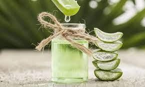 Schází vám v každodenním proudu povinností ...