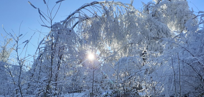 Zázrak jako samozřejmost