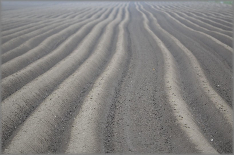 Nihilismus Nihilismus