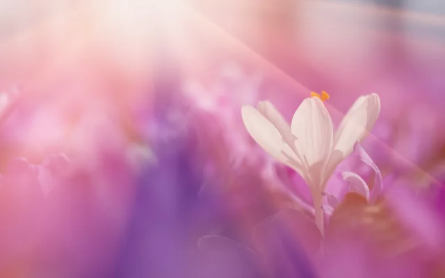 Vše je tak, jak by mělo být, nebo ne?