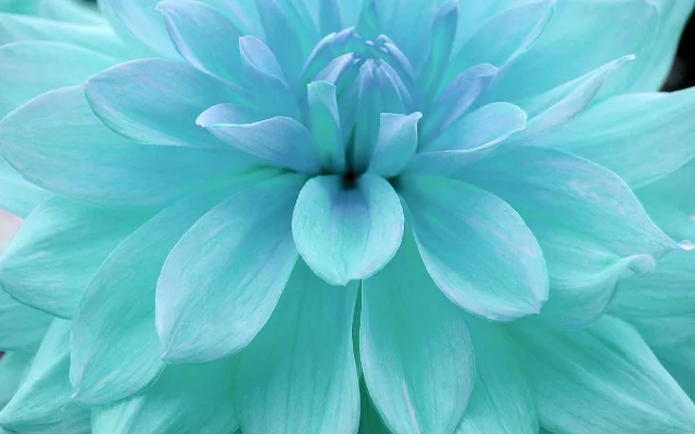 Dostaňte zo svojej mysle všetko,čo vás trápi a ...