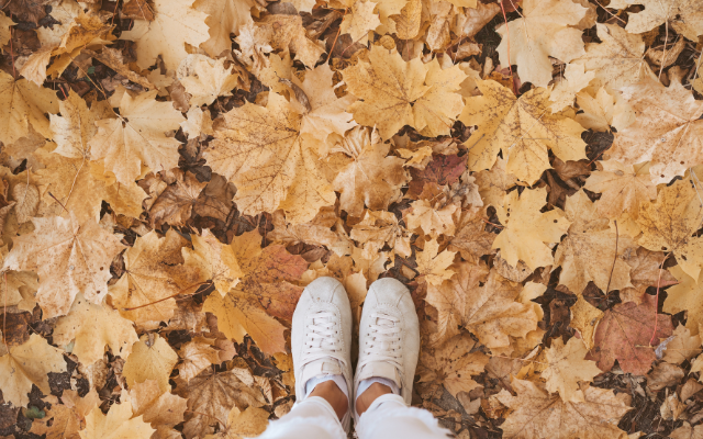 Jaký je váš bod 0?