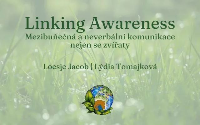 Když slova nejsou potřeba: Tiché rozhovory se ...