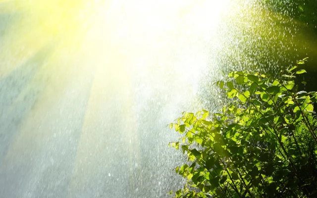 Zpomalení, návrat k sobě a dobíjení se na ...