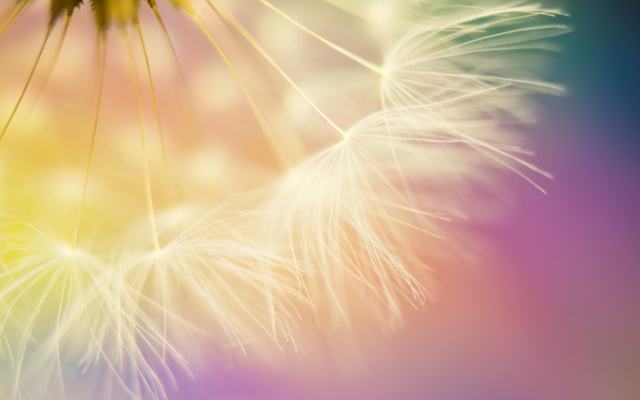 Veronika Wildová - Kapitola 16 - Jasmína (z Ellori, ...