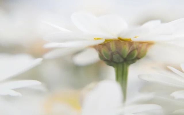 Robiť chybné rozhodnutia je v poriadku