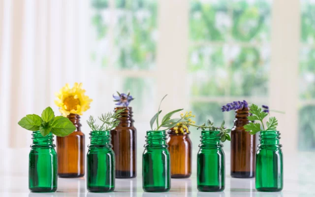 Přírodní repelenty: Které jsou osvědčené? Přírodní repelenty: Které jsou osvědčené?