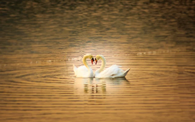 Nepleťte si hlubokou lásku s intenzivním dramatem